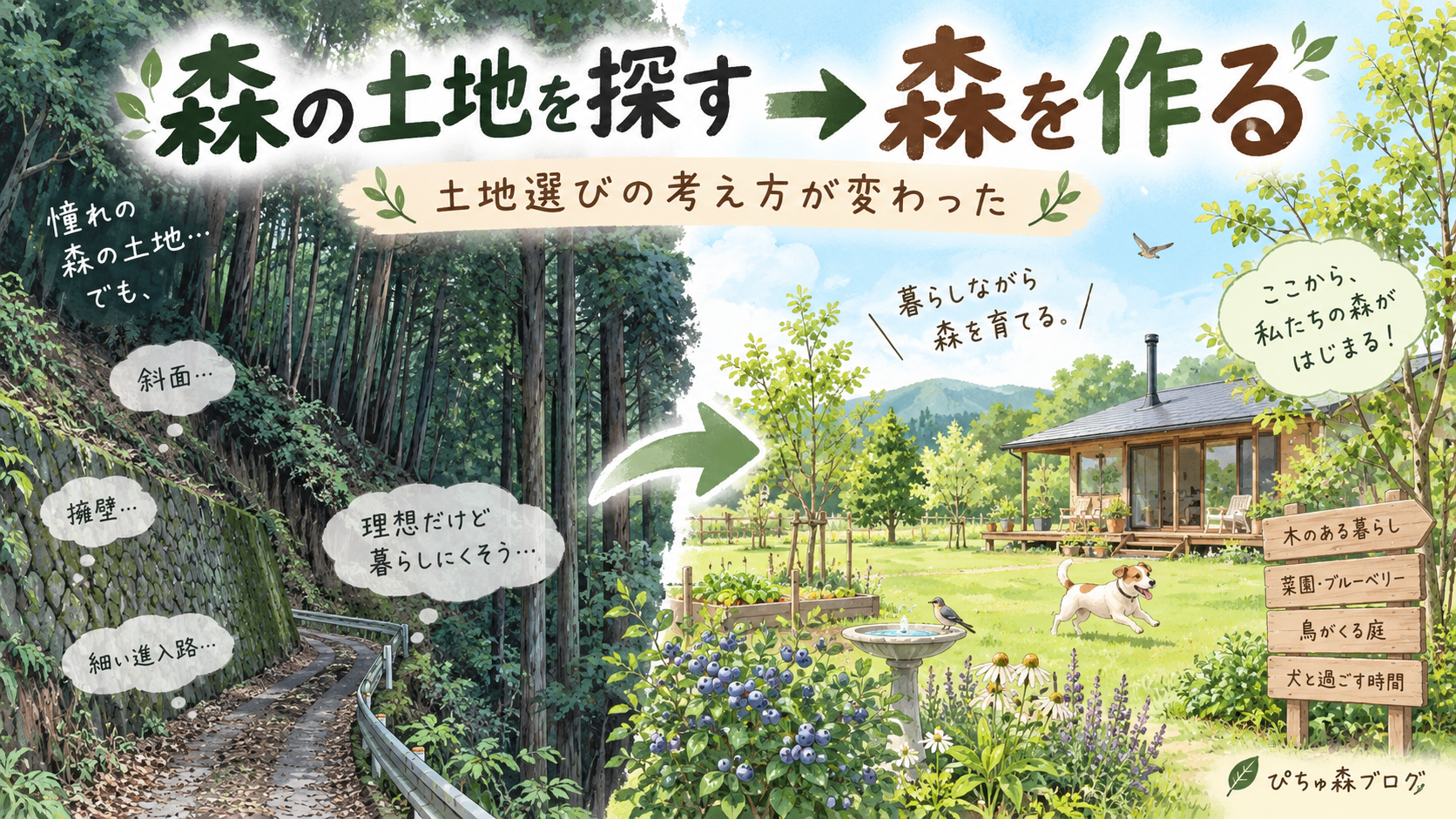 「森の土地を探す」から「森を作る」へ。土地選びの考え方が変わった
